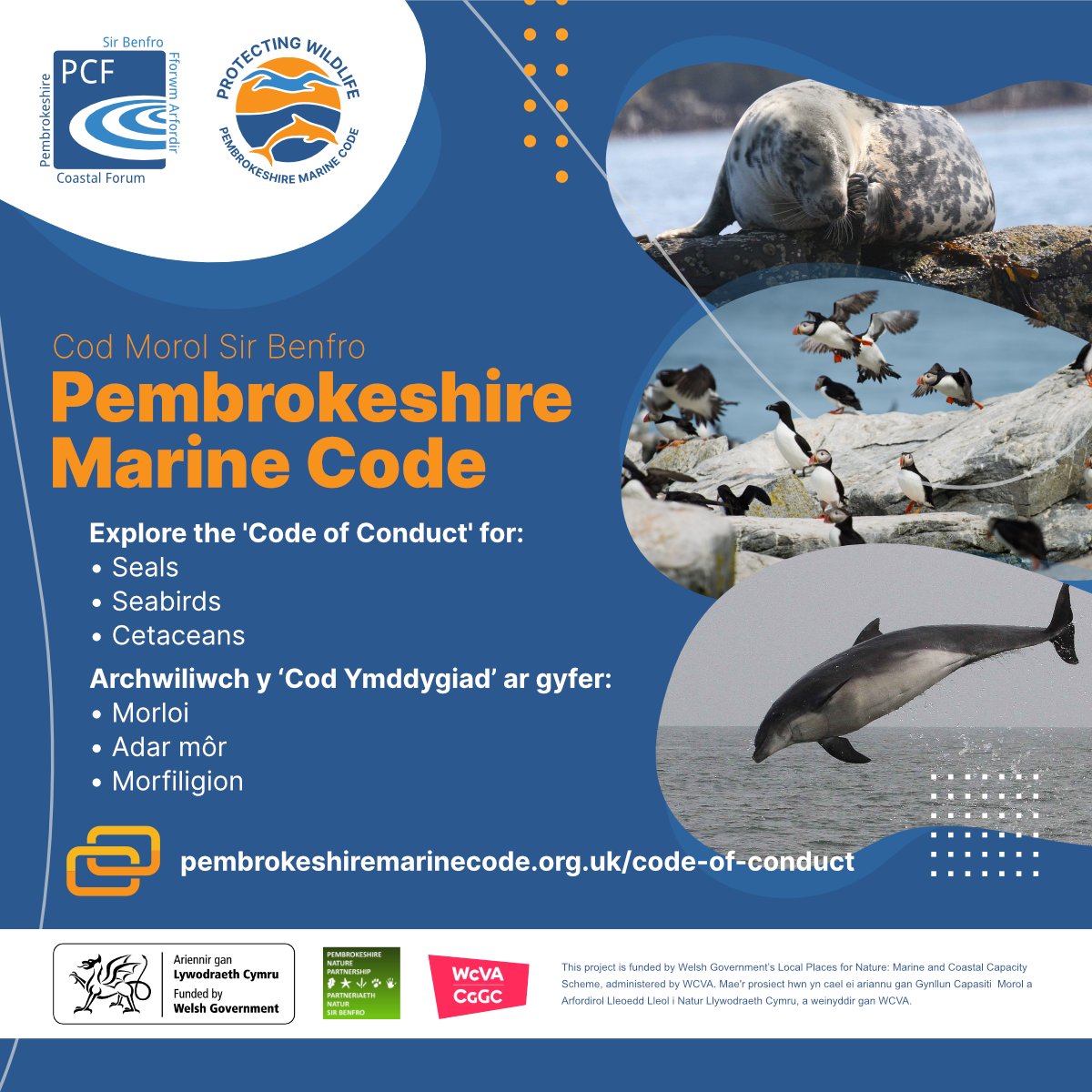 Pembs Coastal Forum tweet media