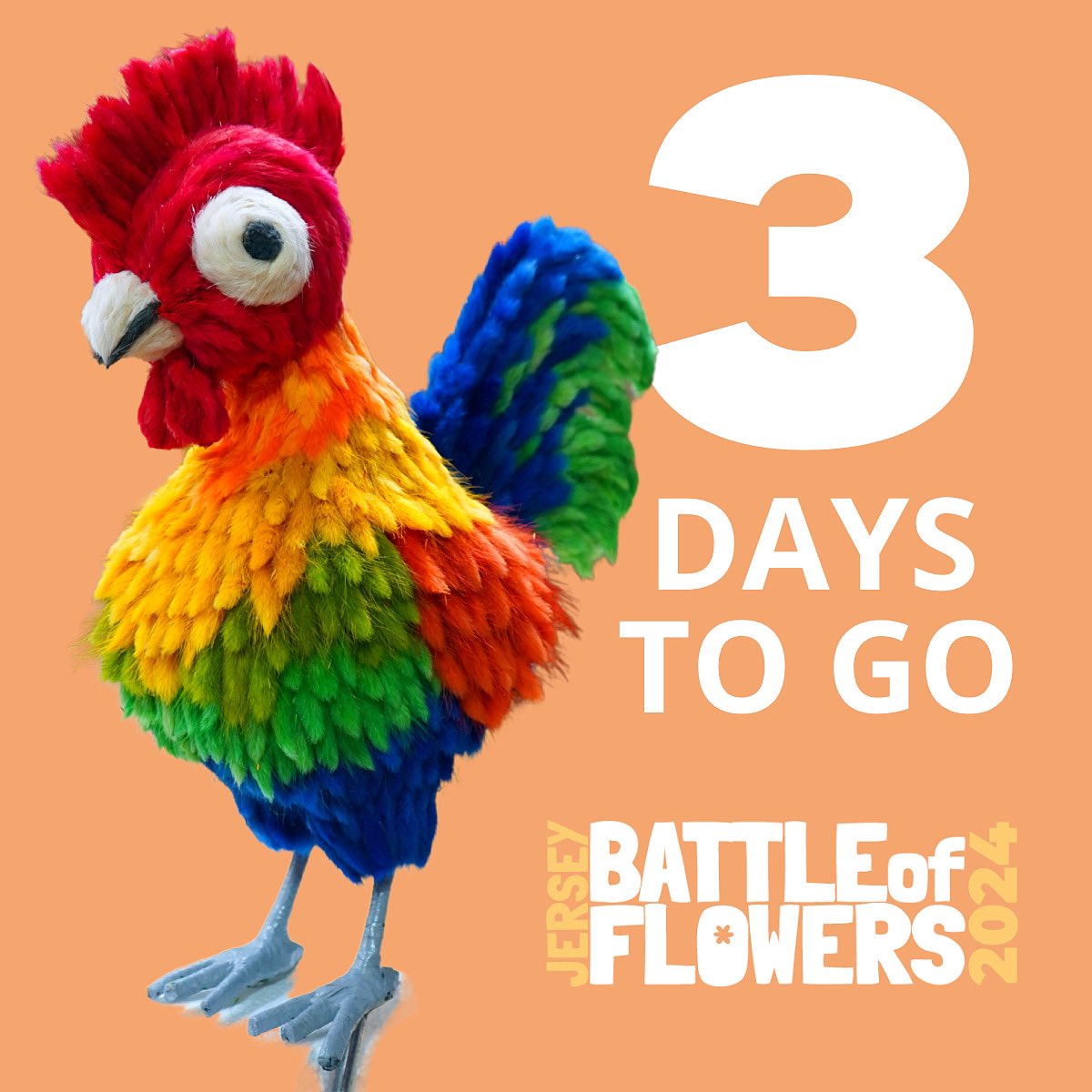 Jersey Battle of Flowers tweet media