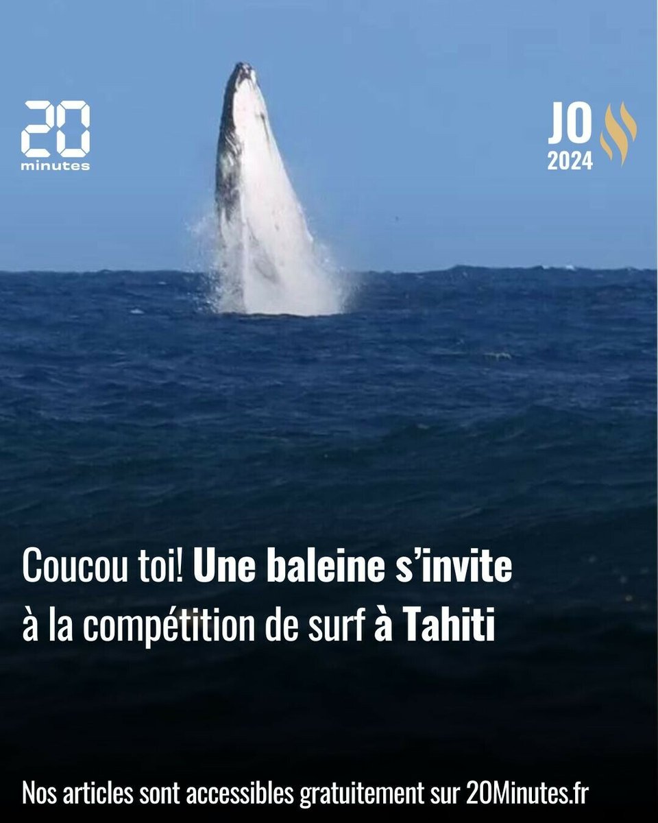 20Minutes's tweet image. MAGNIFIQUEMENT GIGANTESQUE!!!
➡️ 20min.fr/Ags

#Tahiti #Teahupoo #KauliVaast