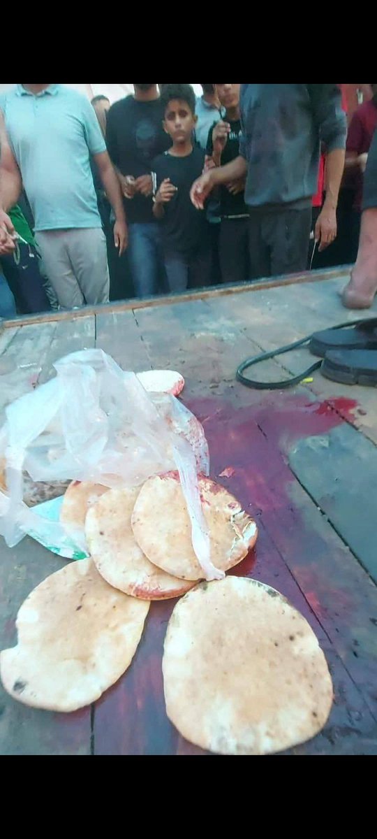 "Nasıl kötü bir zamana denk geldi ömrümüz. Vicdansızların, sapıkların, katillerin, nefretin, cehaletin ortasına düştük."
#GazzeKanGölü
#Gazze
#GazzedekiSoykırımaDurDe