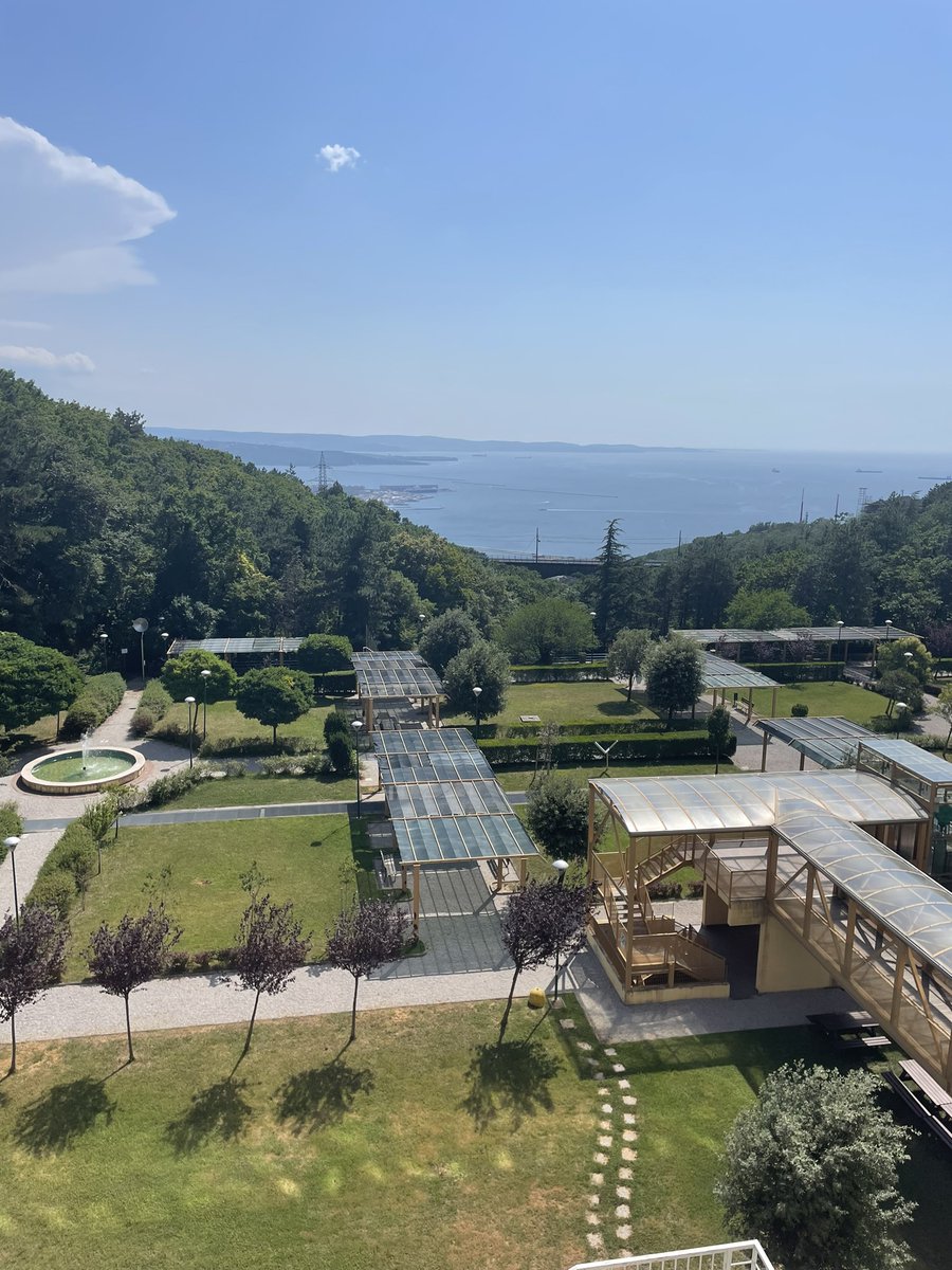 Giulio Severijnen tweet media