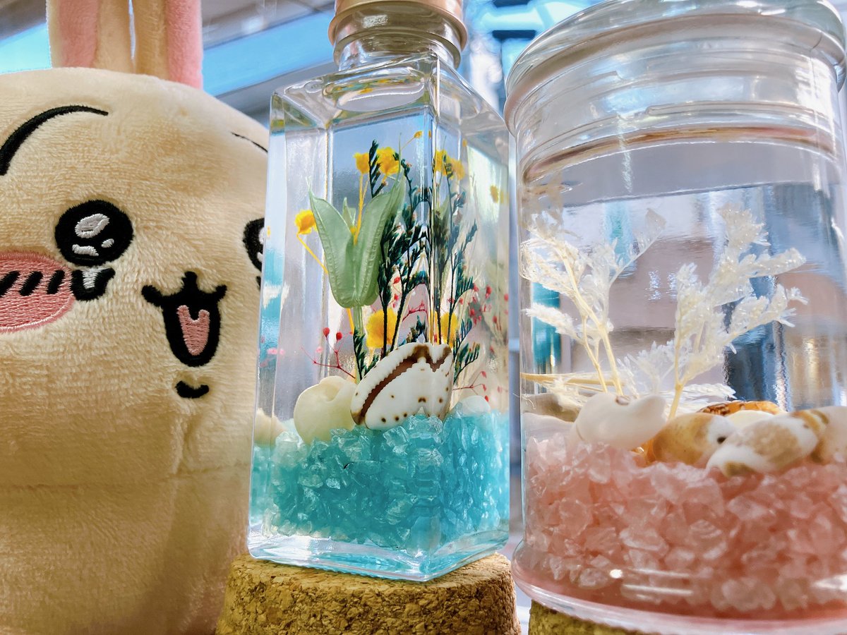 eiju_flower's tweet photo. 貝殻のハーバリウム🐚
貝殻の種類はいっぱいあります。
ぜひ　ワークショップ参加してください。
#eiju
#ワークショップ
#海
#夏
#夏休みの自由研究 https://t.co/JvhppslGol