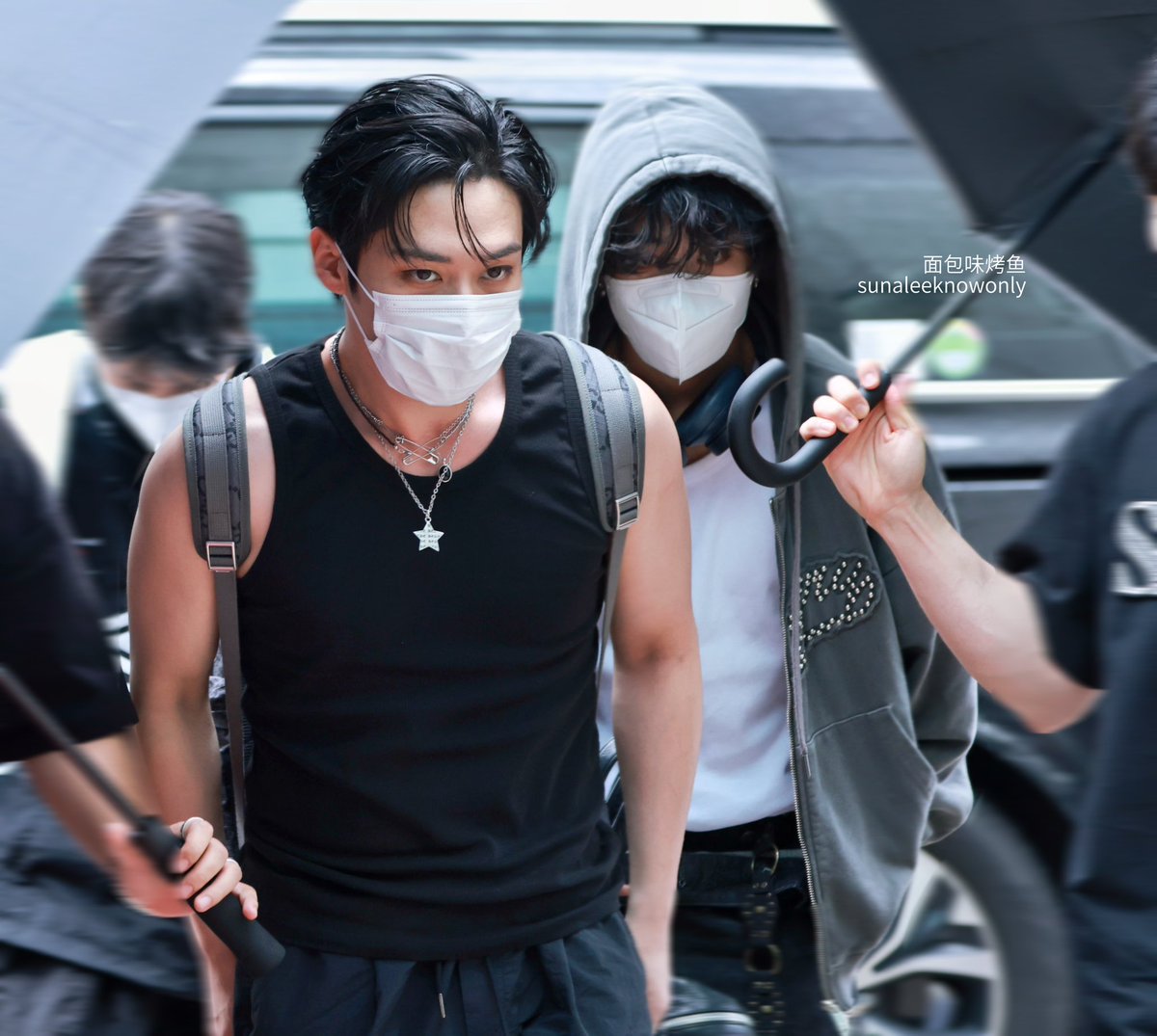 hallofmiso's tweet photo. they live together :) https://t.co/pjk6dSvVuu