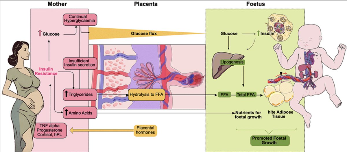 marina mora tweet media