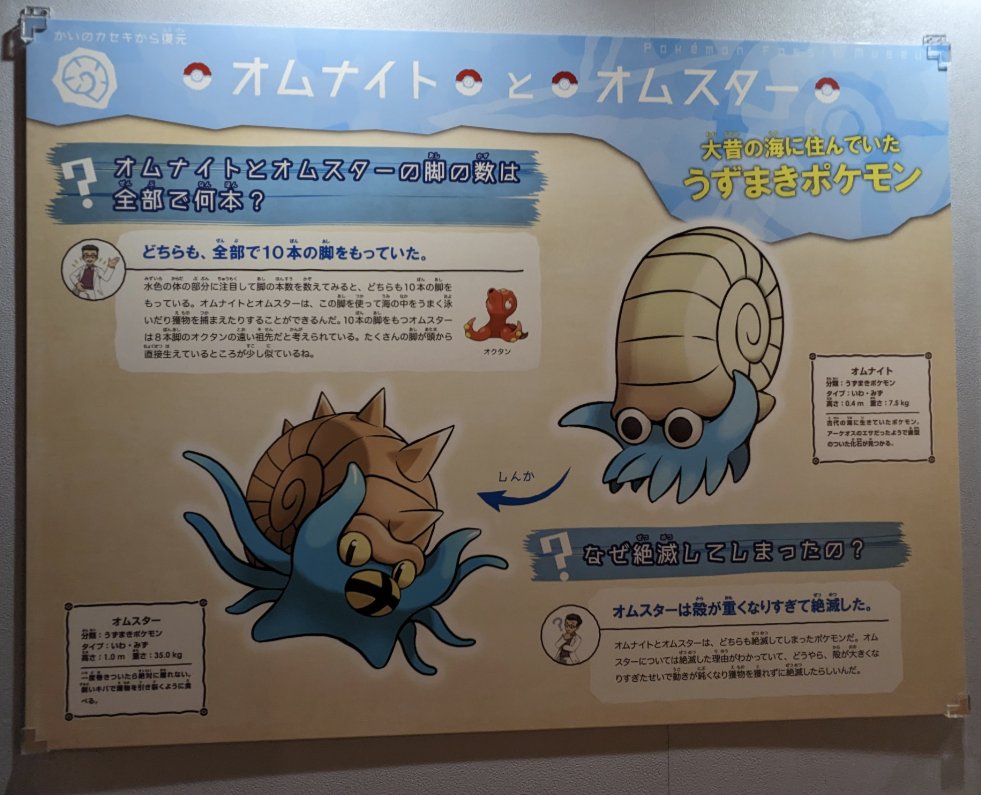 群馬県立自然史博物館 #ポケモン化石博物館 #オムナイト と
