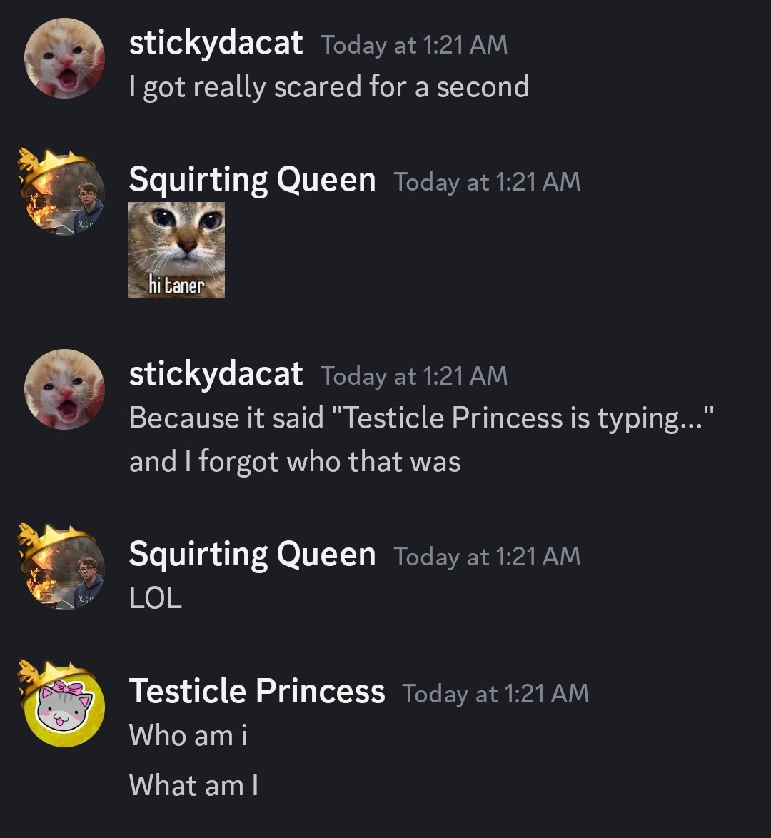 stickydacat tweet media