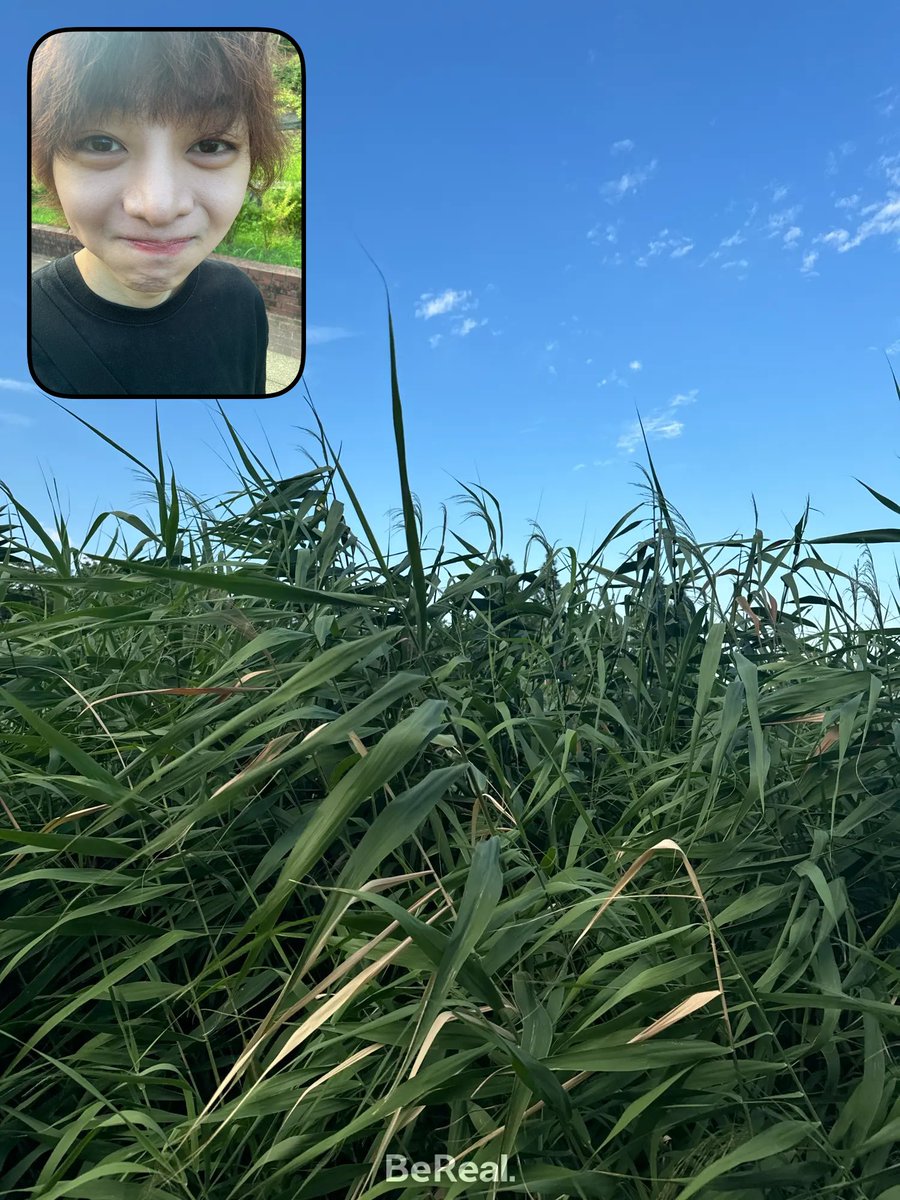 xGzrx7's tweet photo. https://t.co/gNzOtEqOnT