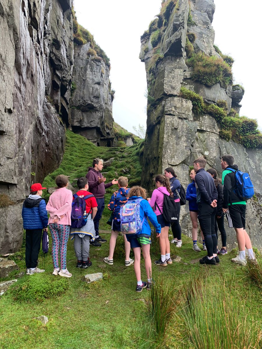 Mr Math Weeney tweet media