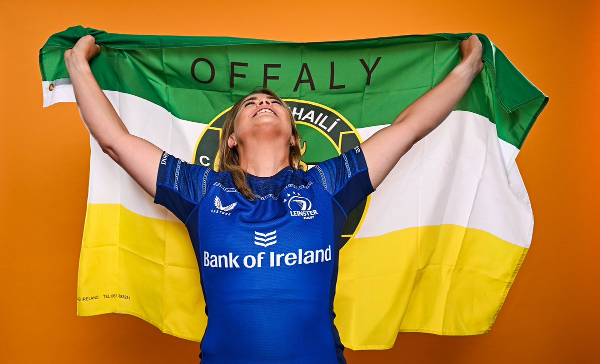 Leinster Domestic tweet media