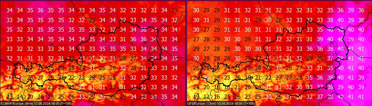Marcus Wadsak 🌞 tweet media