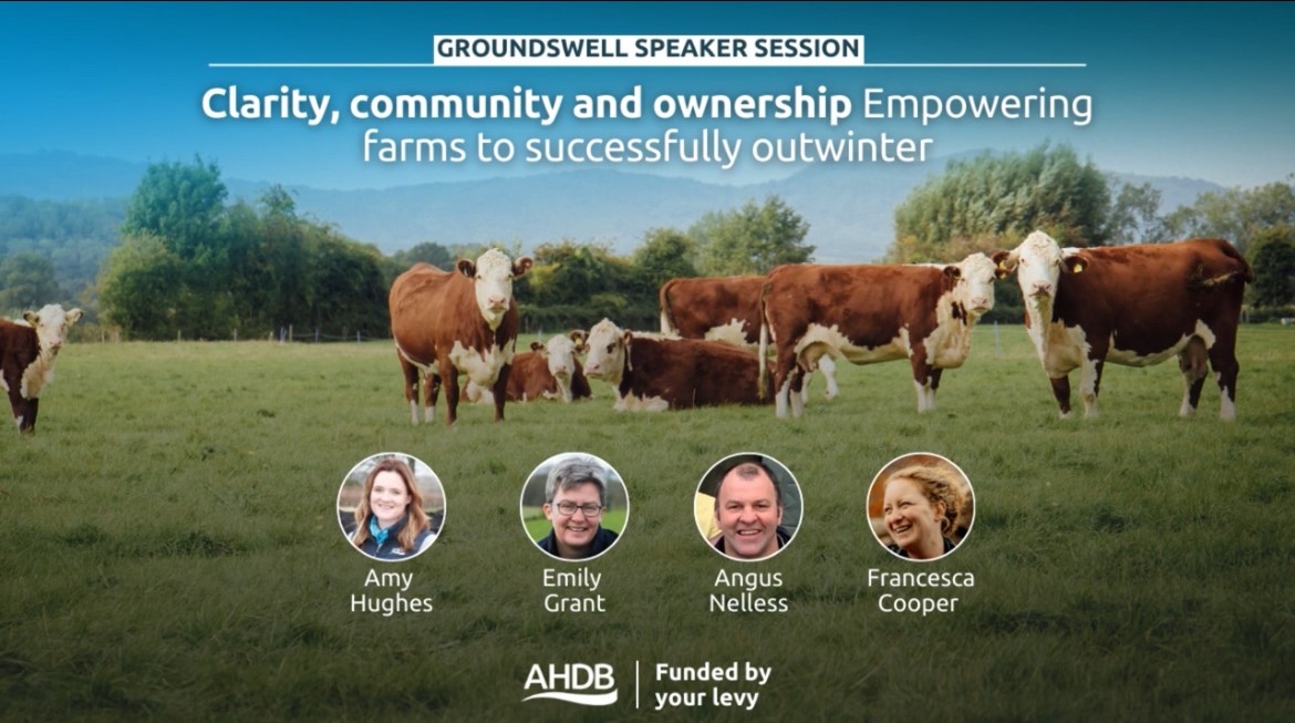 EvansKatie215's tweet photo. Missed our Outwintering session at @GroundswellAg? Hear from @allaboutthecows as she chairs a discussion with Angus Nelless, Emily Grant & Francesca Cooper on #outwintering in the UK.
Listen back here: https://t.co/C3UBOMs0z3 https://t.co/34lEZMPyc3
