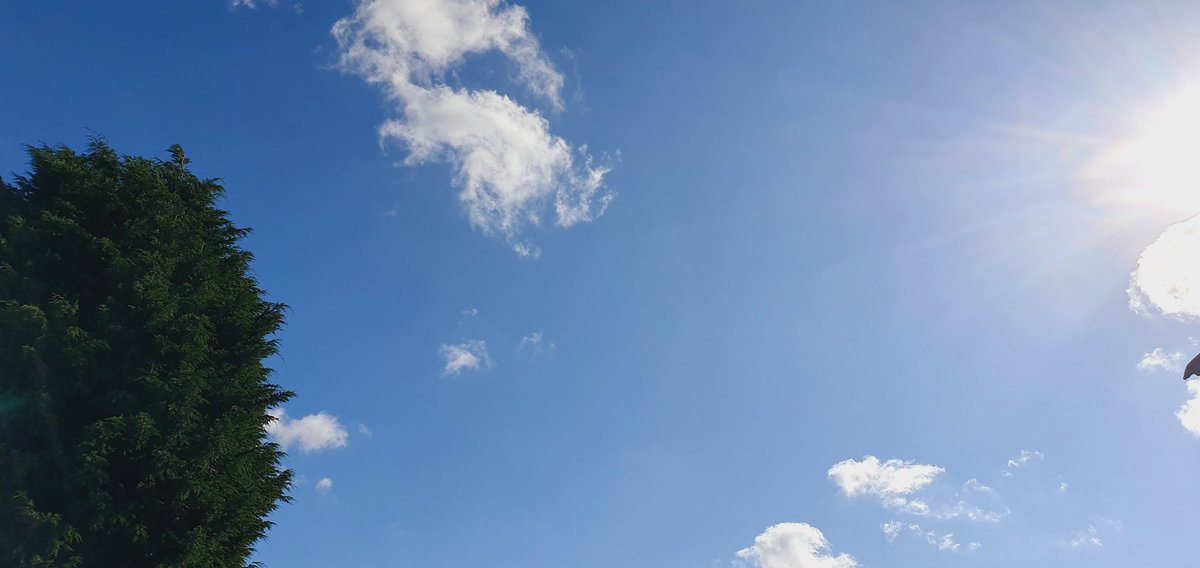 bringiton50's tweet photo. Lancashire 09.43hrs,06/08/24 #lookup #GeoEngineering #abnormalnormal @petesanford @ab_junior_2701 @Amoon131416 @ArtyMartyGiles @Arwenstar @2bods1dream @Bia67791237 @BigVapu @Vomit911 @10Fricke918674 @peronikz @MattsGottaNo @tanrac35 @Thorsons1 @TrueRealEyes https://t.co/MAtj08KjU3