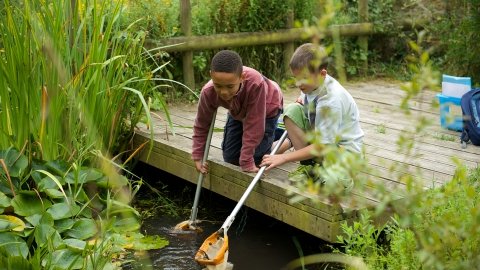 The weekly Wednesday summer holiday events at Lorton Meadows continue tomorrow with that perennial favourite - Pond Dipping. Places still available, booking essential on 01305 206191. Children £3 accompanying adults FREE. 10am - 12pm

dorsetwildlifetrust.org.uk/events/2024-08…