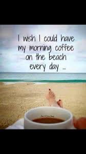 memobeachpt tweet media