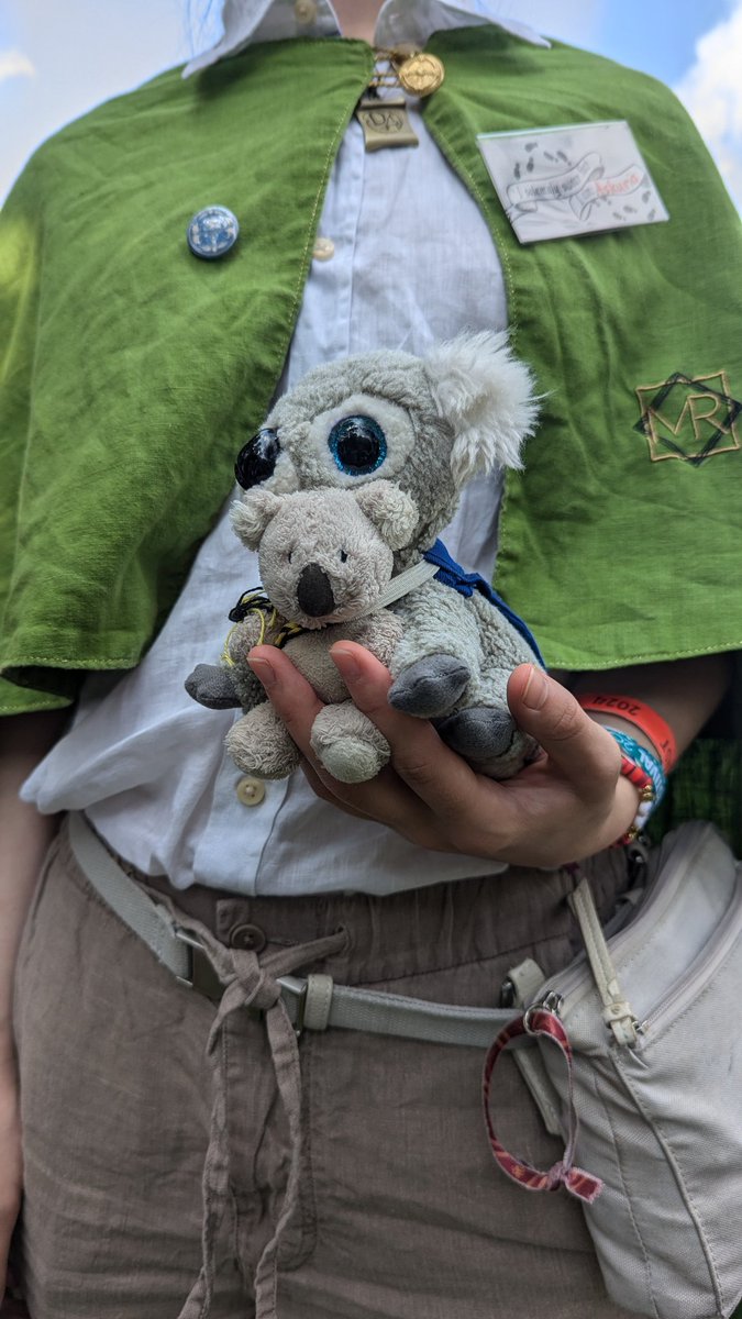 KoalaFridolin's tweet photo. Ach ja, so ein wildes grünes Wesen haben Papa und ich auch auf dem Festival getroffen 😍🐨🥺 https://t.co/8xtHPh6ZH0