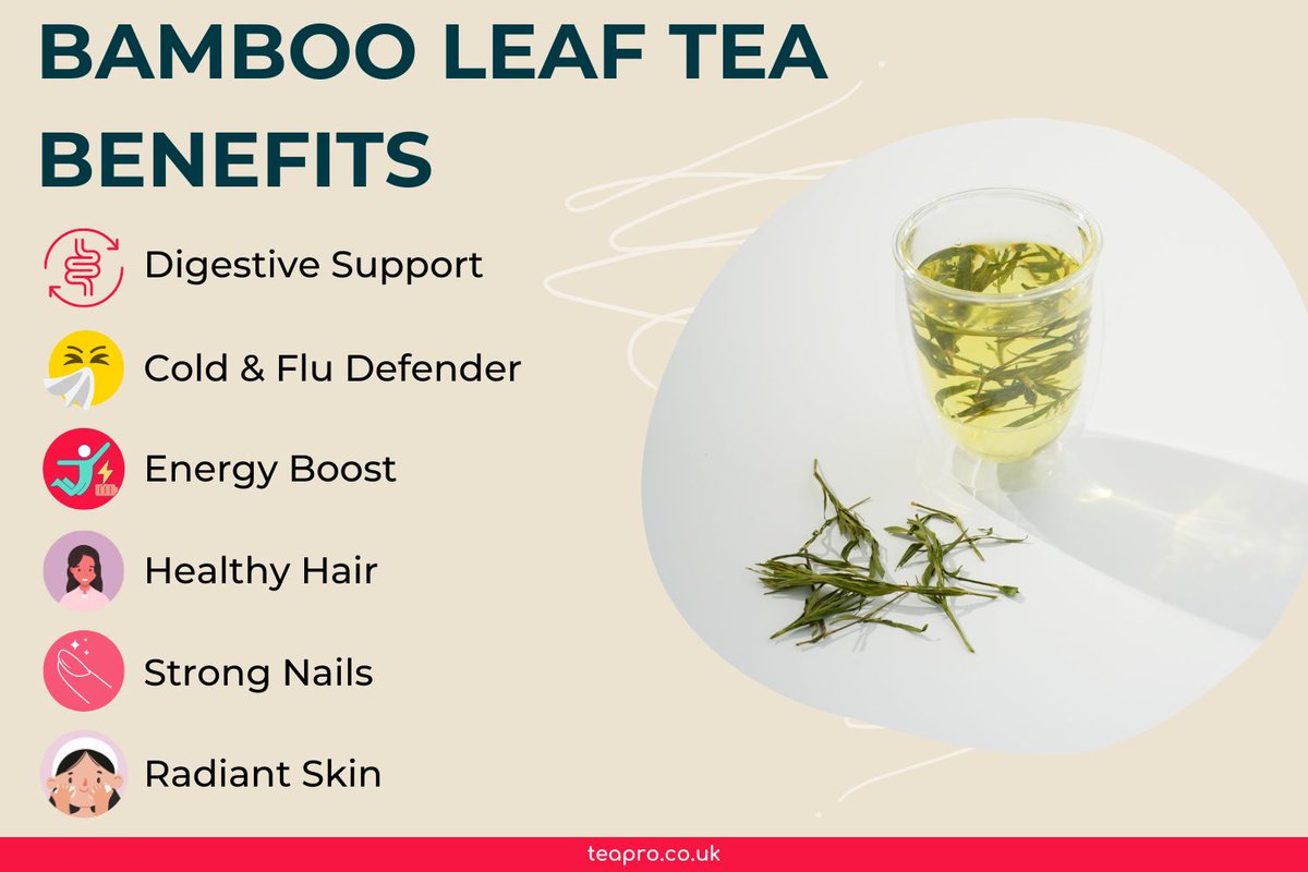 TeaProUK's tweet image. Unlock these 6 Benefits of Bamboo Leaf Tea!

Experience how bamboo leaf tea can be a game-changer for your health and beauty routine.

Explore the science behind each benefit now in our blog: teapro.co.uk/bamboo-leaf-te…

#teapro #universitea #teahealthbenefits #bambooleaftea