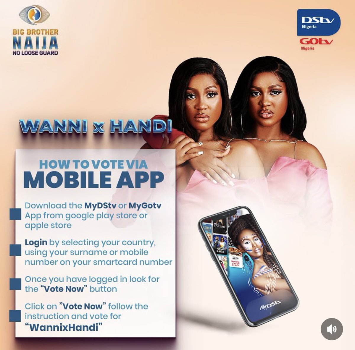 Valerazze's tweet photo. Please vote for my sweet babies. a Vote for Wanni x Handi is a vote for premium entertainment 🙏🏽#BBNaija https://t.co/BSgbvwEj7S