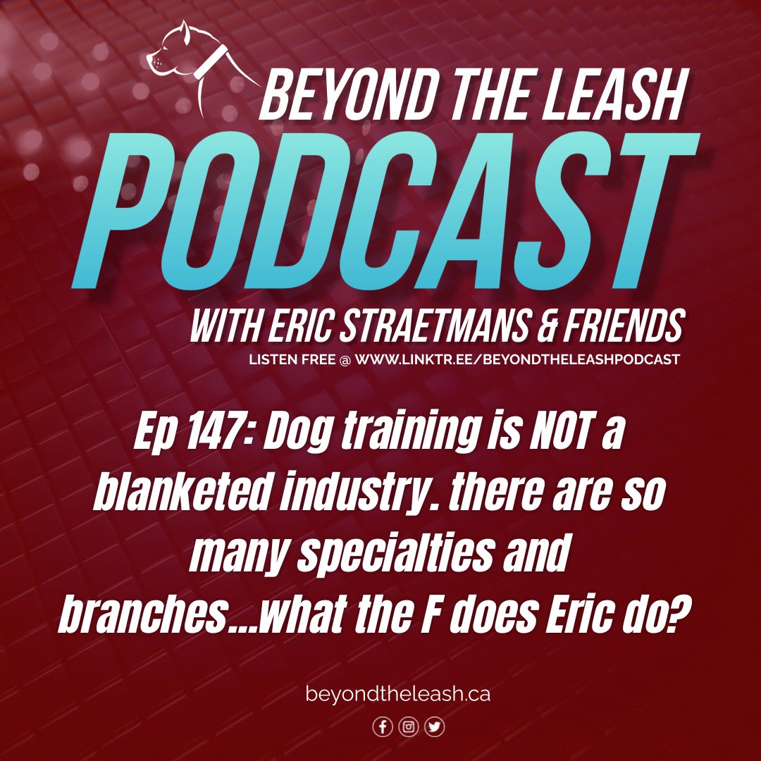 BeyondTheLeash's tweet photo. #BeyondTheLeash https://t.co/2MieP4Iwy9 https://t.co/YPAKKhEX2r