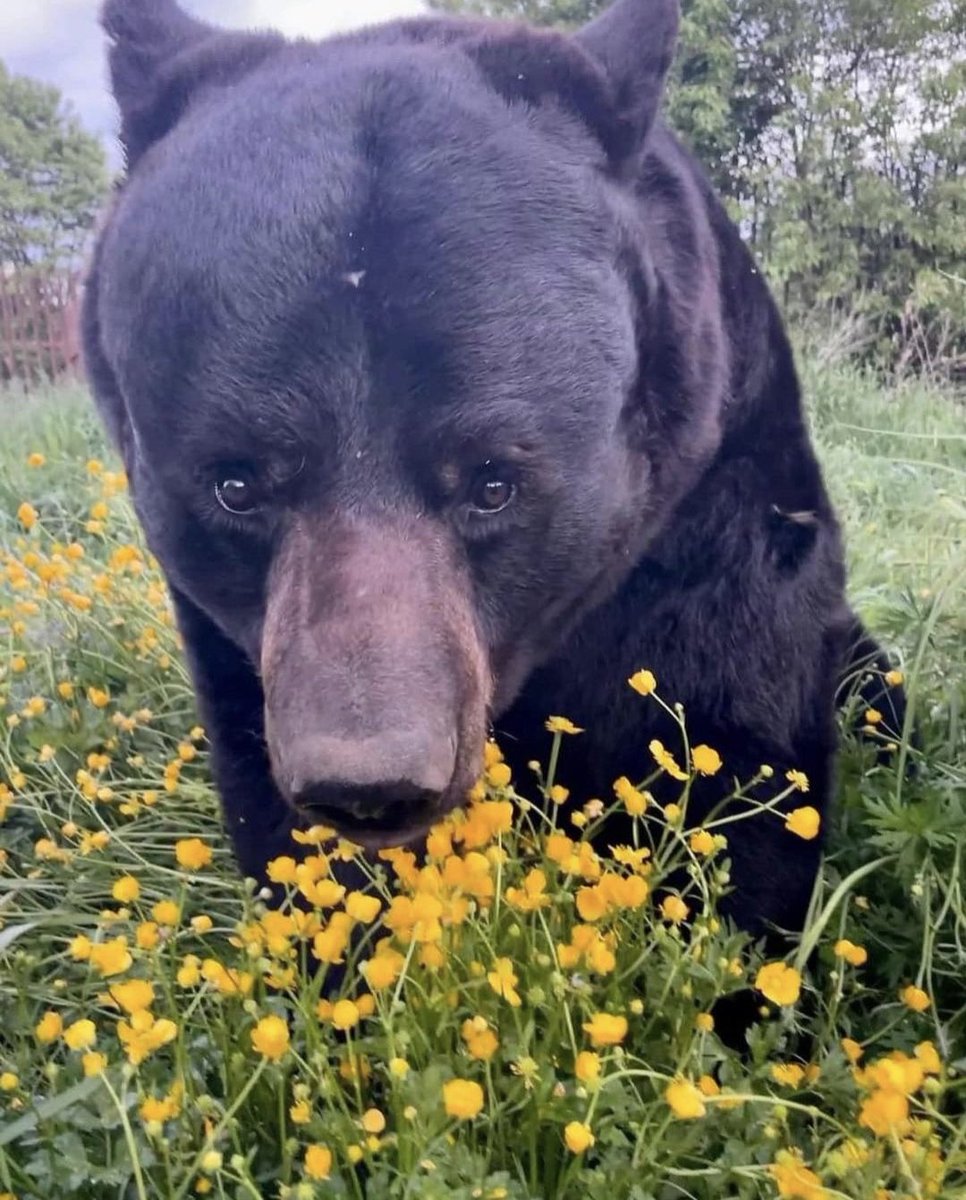 dan1al (@danialdoteth) on Twitter photo 