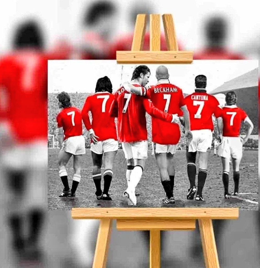 Quality Canvas Print tweet media