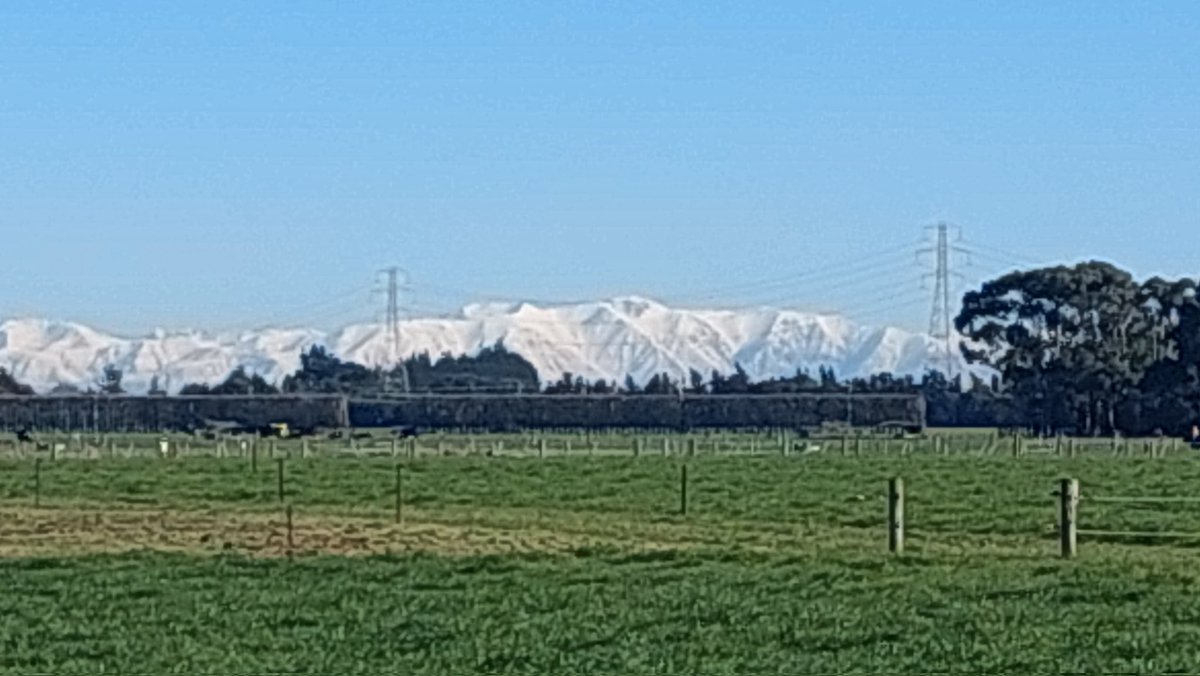 Dr Pieter-Willem HENDRIKS (@pieterwillemhe1) on Twitter photo Not a bad view from todays office. Wheat weed intrraction at <a href="/FARarable/">Foundation for Arable Research (NZ)</a> Kowhai farm. May the resulr be as beautiful 😍. Thank you, FAR, for the opportunity!!! <a href="/LincolnUniNZ/">Lincoln University</a> Not a bad view from todays office. Wheat weed intrraction at <a href="/FARarable/">Foundation for Arable Research (NZ)</a> Kowhai farm. May the resulr be as beautiful 😍. Thank you, FAR, for the opportunity!!! <a href="/LincolnUniNZ/">Lincoln University</a>