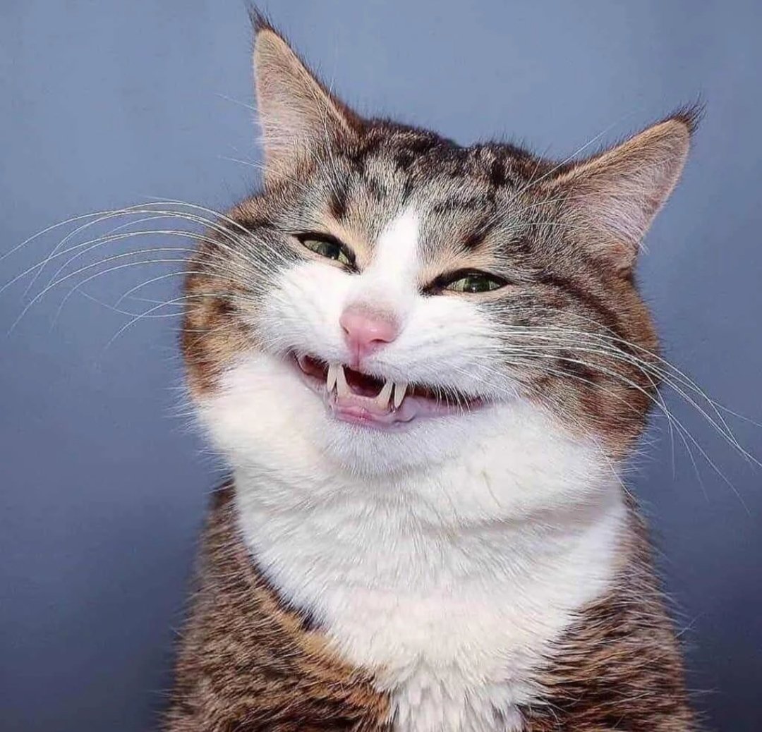 Maç sonu bizim sifat-ul eşgal
Türkiye - Çin
Yarı finaldeyiiiiiiiiizzzzzzzz
#FileninSultanları