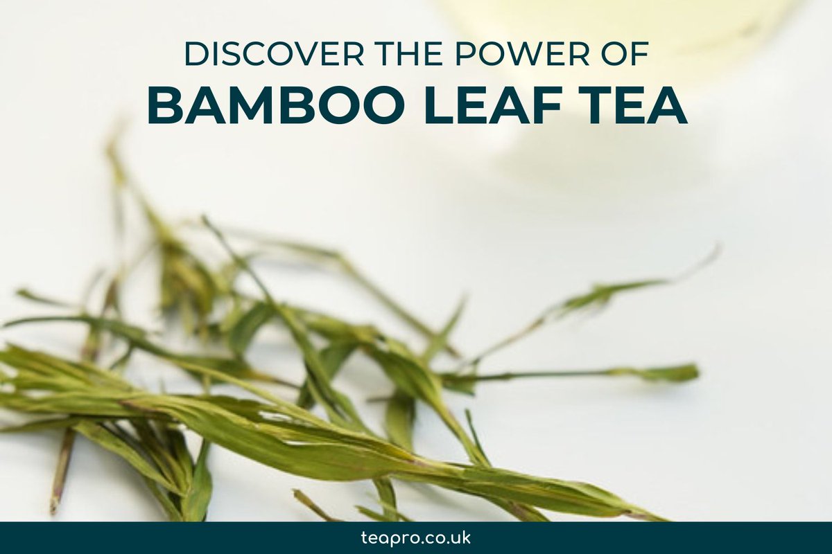 TeaProUK's tweet image. Discover the power of bamboo leaf tea!

Curious about what makes bamboo leaf tea so extraordinary?

Explore the science behind the full range of benefits this tea has to offer on our blog today: teapro.co.uk/bamboo-leaf-te…
#teapro #universitea #teahealth #bambooleaftea