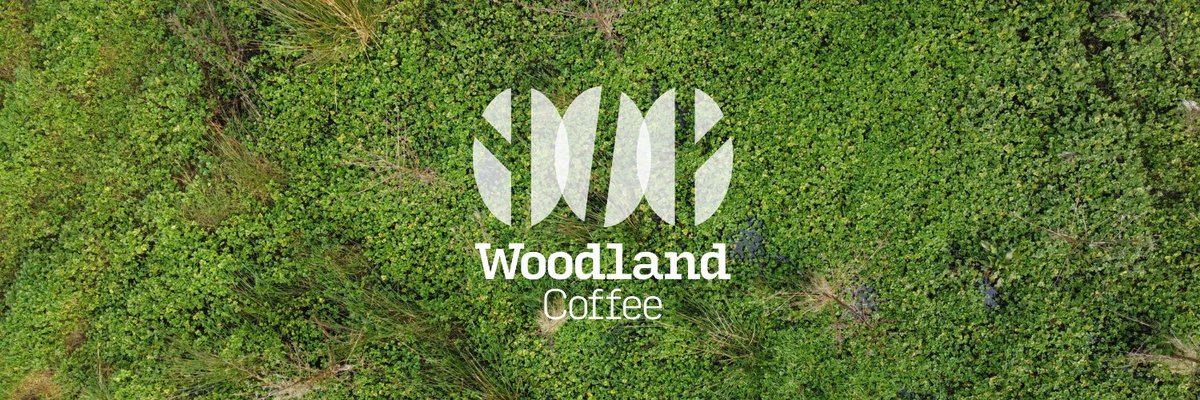 🌳Our Woodland Summer Update🌳

Read our latest blog post featuring updates from our woodland, which is in full bloom at the moment! 🌲🌱

Read the full blog in the link below:
woodlandcoffee.ie/our-woodland-s…