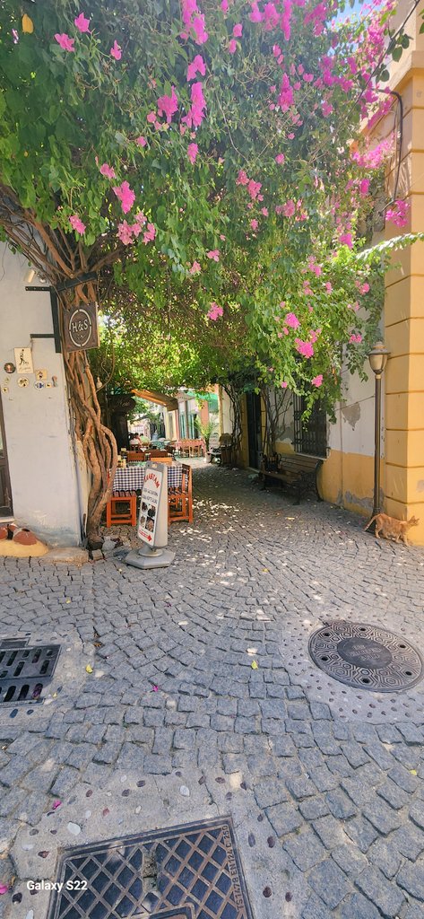 یک‌نظر بر باد کردم باد رقصیدن گرفت
یک‌نظر بر کوه کردم کوه لرزیدن گرفت

Bir bakış attım rüzgara,
Rüzgar dans etmeye başladı
Bir bakış attım dağa,
Dağ sarsılmaya başladı.