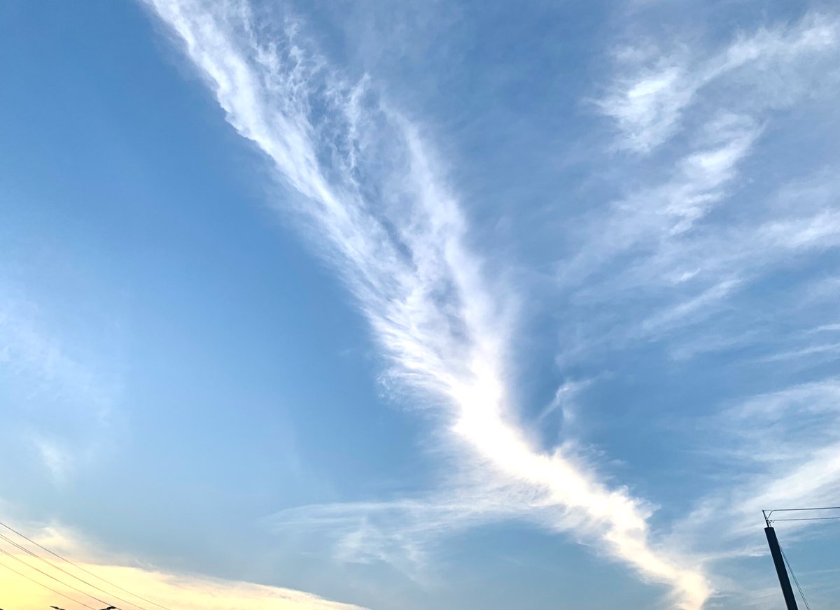 opateleopathy's tweet photo. のびやか〜✨🧚

#イマソラ https://t.co/i4wEdRVInm
