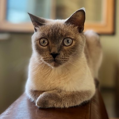 #YeniProfilResmi
