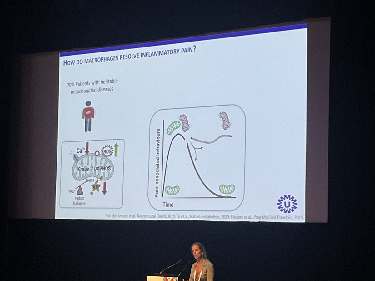 Verás cuando les digamos a nuestros alumnos que el ciclo de krebs puede ser muy importante para nuestros pacientes con osteartritis y dolor inflamatorio 🤭

<a href="/unicomplutense/">Complutense</a> 
<a href="/IASPpain/">IASP</a> 
#WC2024