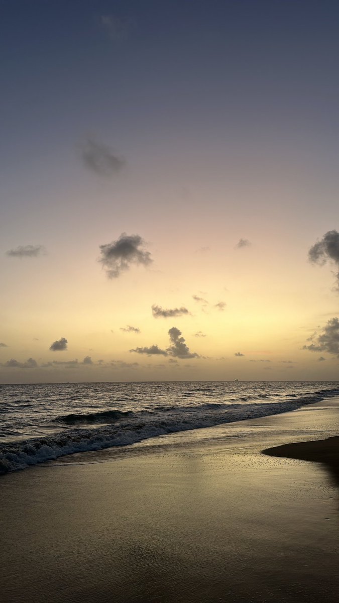 Good morning ☀️ 

(Ty <a href="/marginsmall/">margin small</a> for convincing me to touch sand)