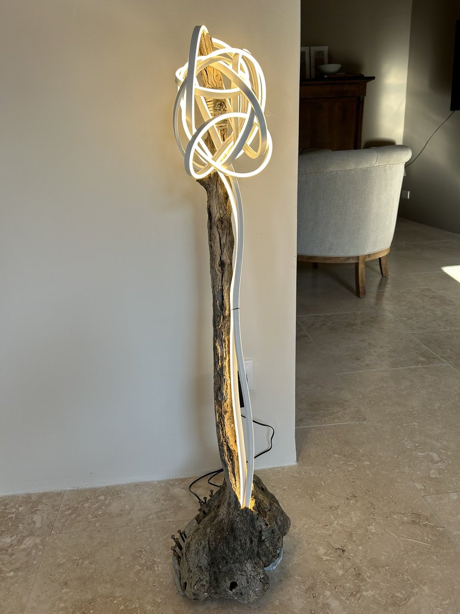 jacktouillon's tweet photo. LED cloud grown on olive tree root https://t.co/eXCKX0I5aS