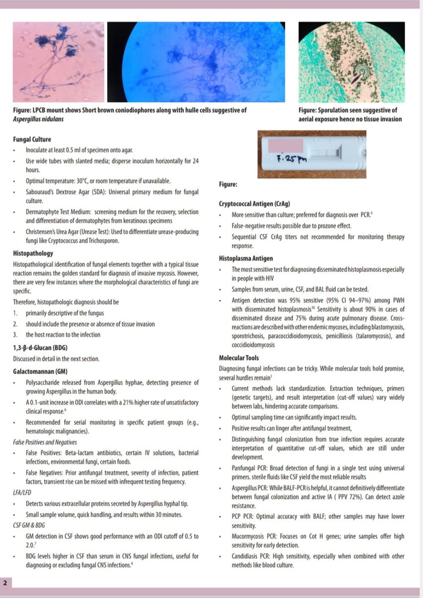 FISF Trust tweet media