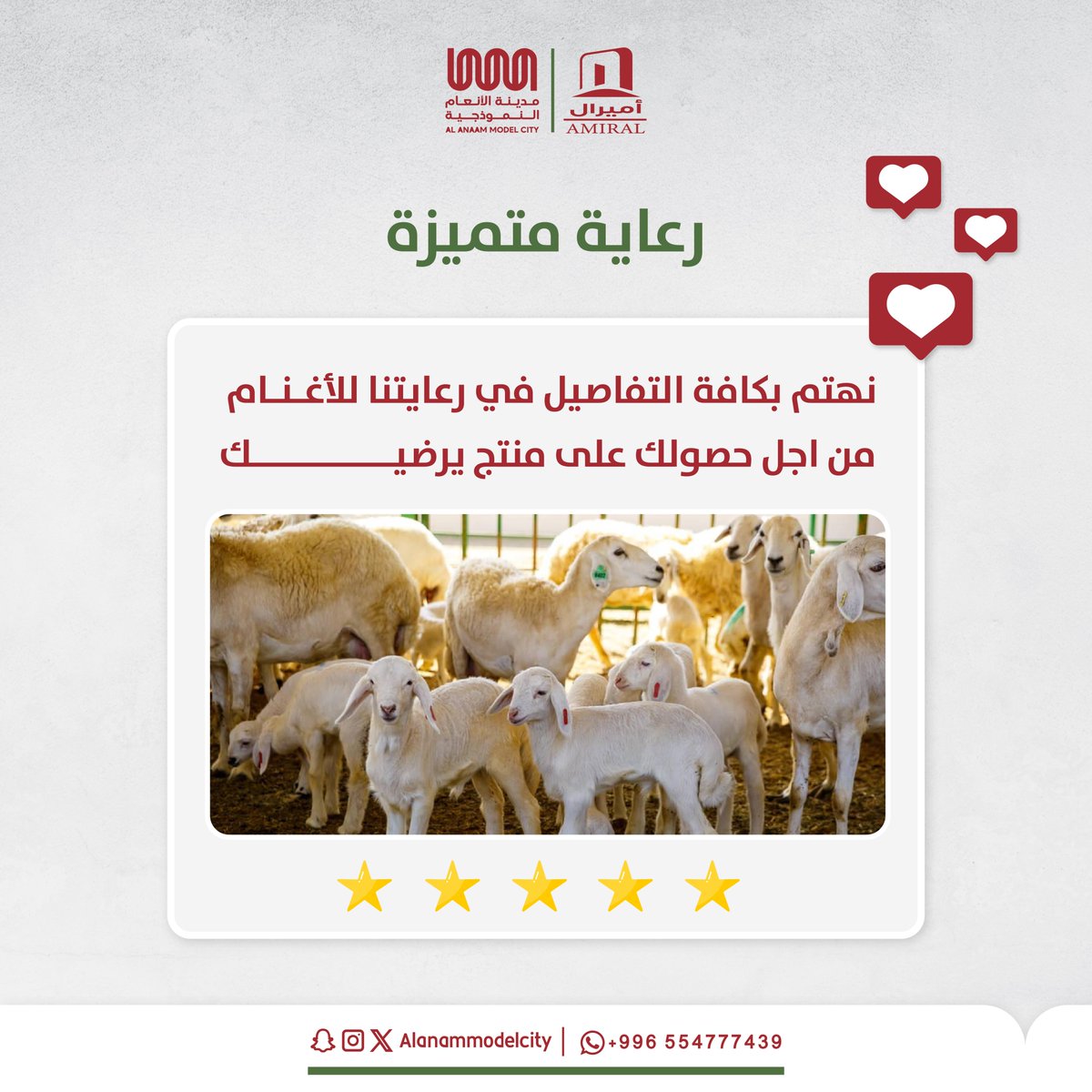 Alanammodelcity's tweet photo. في مدينة الأنعام النموذجية في مكة المكرمة ..

نهتم في رعاية الأغنام  رعاية متميزة من أجل حصول عملائنا على منتج يرضيه 😍

#مدينة_الأنعام_النموذجية | #حكاية_جديدة | #مكة_المكرمة https://t.co/81VySOpCy1