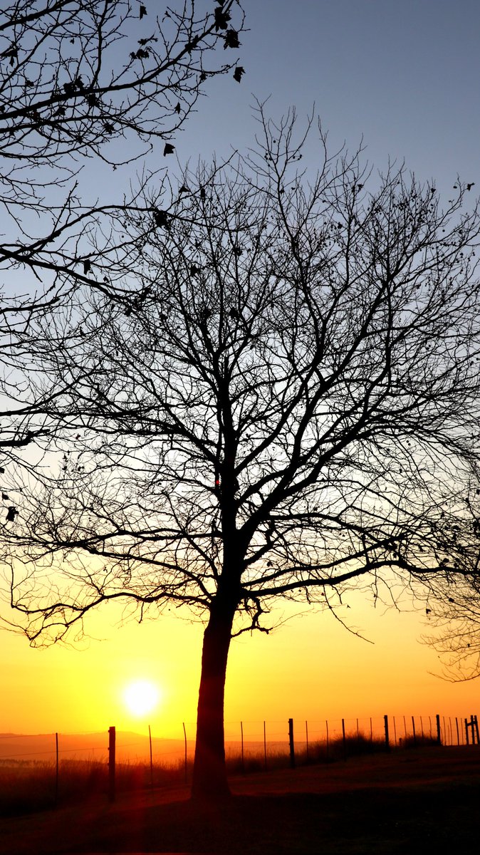 Monique_PR_'s tweet photo. 🌄Winter sunrise on the KZN Midlands Meander 6:55am 06.08.2024
#KZNhasitall #KZNWinterEscape #kznmidlands #midlandsmeander #travelsouthafrica #petfriendlytravel #adoptdontshop #southafrica #KwaZuluNatal #tourism #supportlocal https://t.co/7ylRd0lseB
