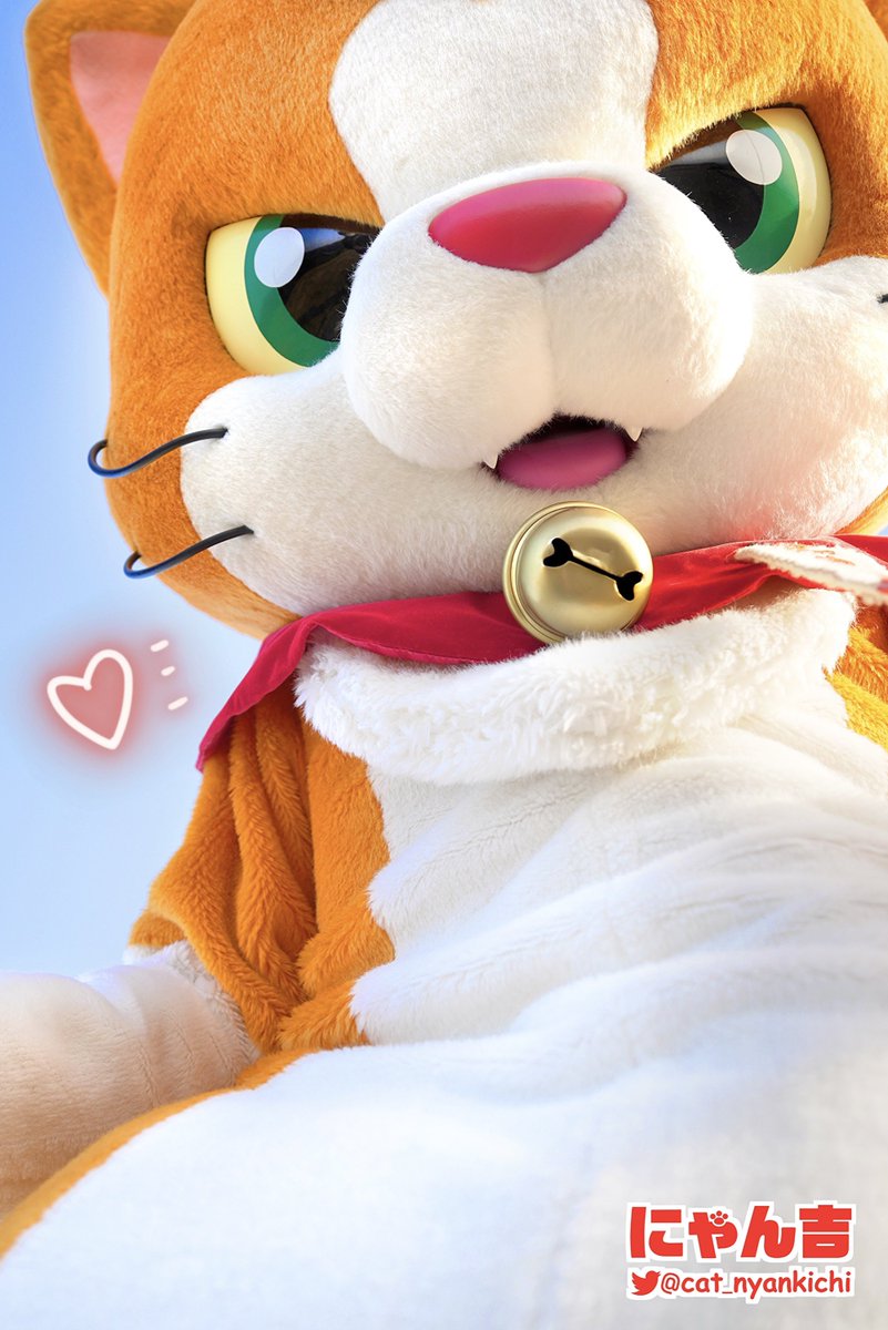 にゃー(=´ᗜ`=)♡