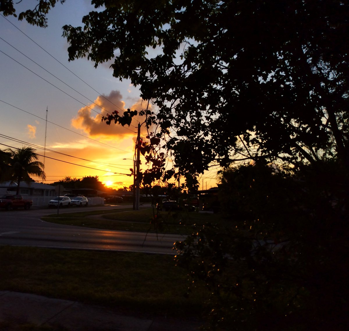 JorgeGNYCMIA's tweet photo. #Miami #Sky #Sunset #Palmtrees #photo #photodaily #phototoday #photoofthedaye #photogram #photograph #photographer #photography #photooftheweek #photos #photosession #photoshot #photostudio #skyphotography #sunrays #sunflares #lensflare #SunsetEvening https://t.co/5Om3vvKmCF