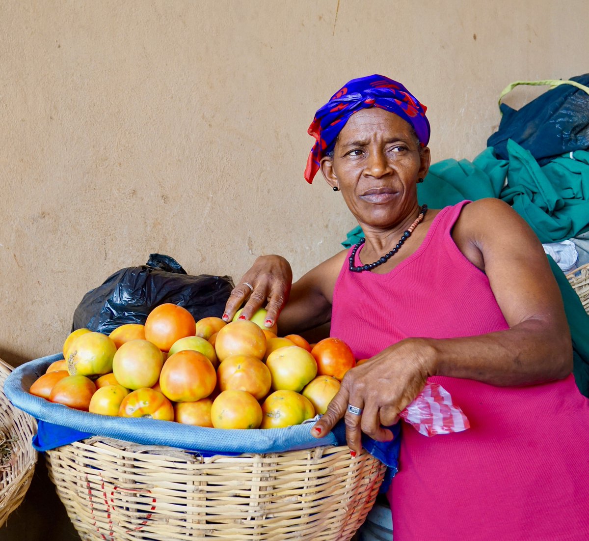 Researchers from <a href="/Cambridge_Uni/">Cambridge University</a> Universities of Haiti, West Indies, Edinburgh, and Exeter Medical School investigated the differences between female and male heads of farms in their farm's size and income and in their nutritional status.

1/2