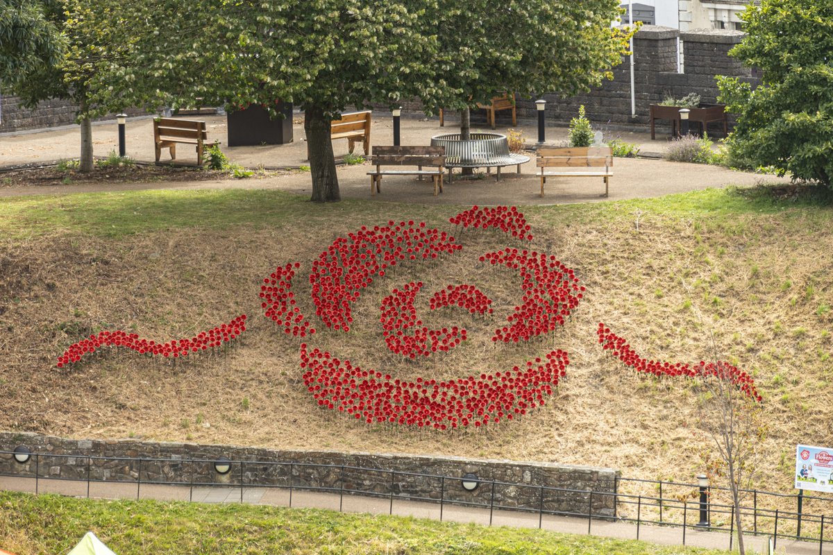 Are you heading to <a href="/cardiff_castle/">Cardiff Castle</a> this week?

<a href="/CityHospice/">City Hospice</a>'s Forever Flowers display of Remember Me Roses will be there until 11 August.