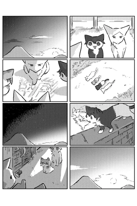 猫五夏84 白猫視点 
