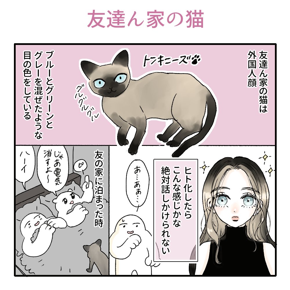 猫と寝る喜びおじさんฅ(‗• ·̫ •‗ฅ)
#漫画が読めるハッシュタグ 