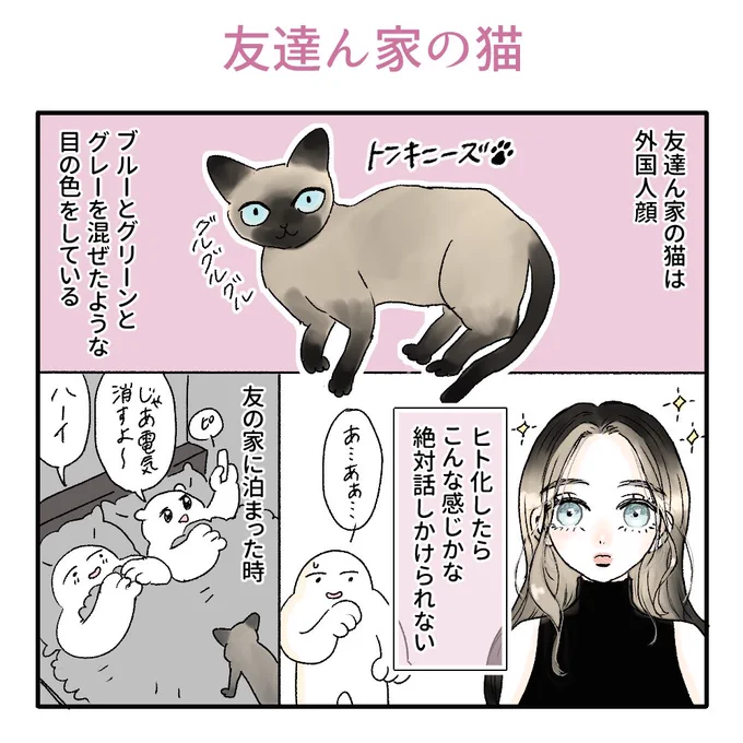 猫と寝る喜びおじさんฅ(‗• ·̫ •‗ฅ)
#漫画が読めるハッシュタグ 