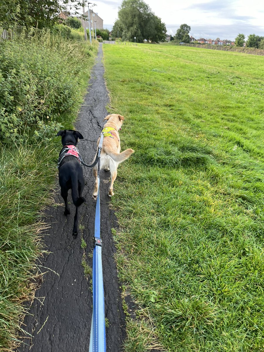 Sonia English (@soniarcher) on Twitter photo #AHPsActive pre work run with the best pacers… unless there are rabbits, squirrels or excitable spaniels close by! <a href="/YS_AHPs/">YSTeachingNHS_AHPs</a> #AHPsActive pre work run with the best pacers… unless there are rabbits, squirrels or excitable spaniels close by! <a href="/YS_AHPs/">YSTeachingNHS_AHPs</a>