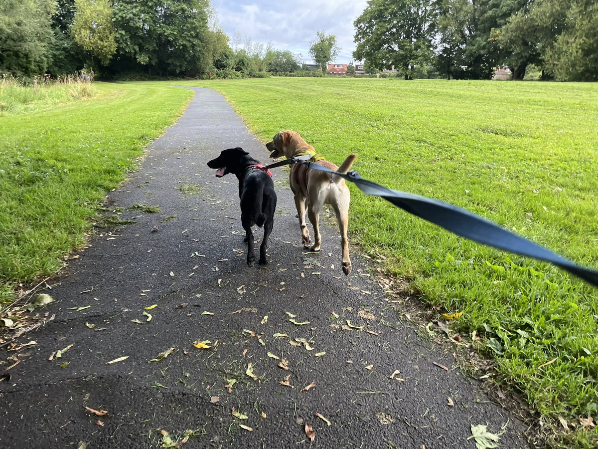 Sonia English tweet media