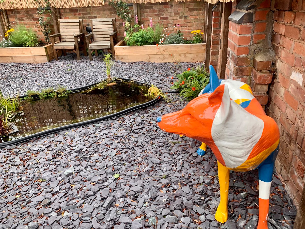 Eilidh Stringer (@stringereilidh) on Twitter photo How lovely does the garden at Engage look? A really calm & peaceful spot within the <a href="/action_homeless/">Action Homeless</a> hub.
‘Chance’ the fox watching over & adding a pop of colour! 🧡 How lovely does the garden at Engage look? A really calm & peaceful spot within the <a href="/action_homeless/">Action Homeless</a> hub.
‘Chance’ the fox watching over & adding a pop of colour! 🧡