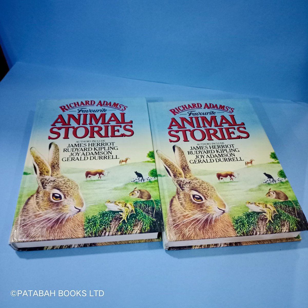 patabahbooks's tweet image. Do you have a favorite animal story?

Get Richard Adams's Favorite Animal Story to know more 💃🏾
Children's favorite animal stories are featured here.

PRICE: NGN 5,000
#animalstory #knowyourenvironment 
#patabahbooksimpactinglife