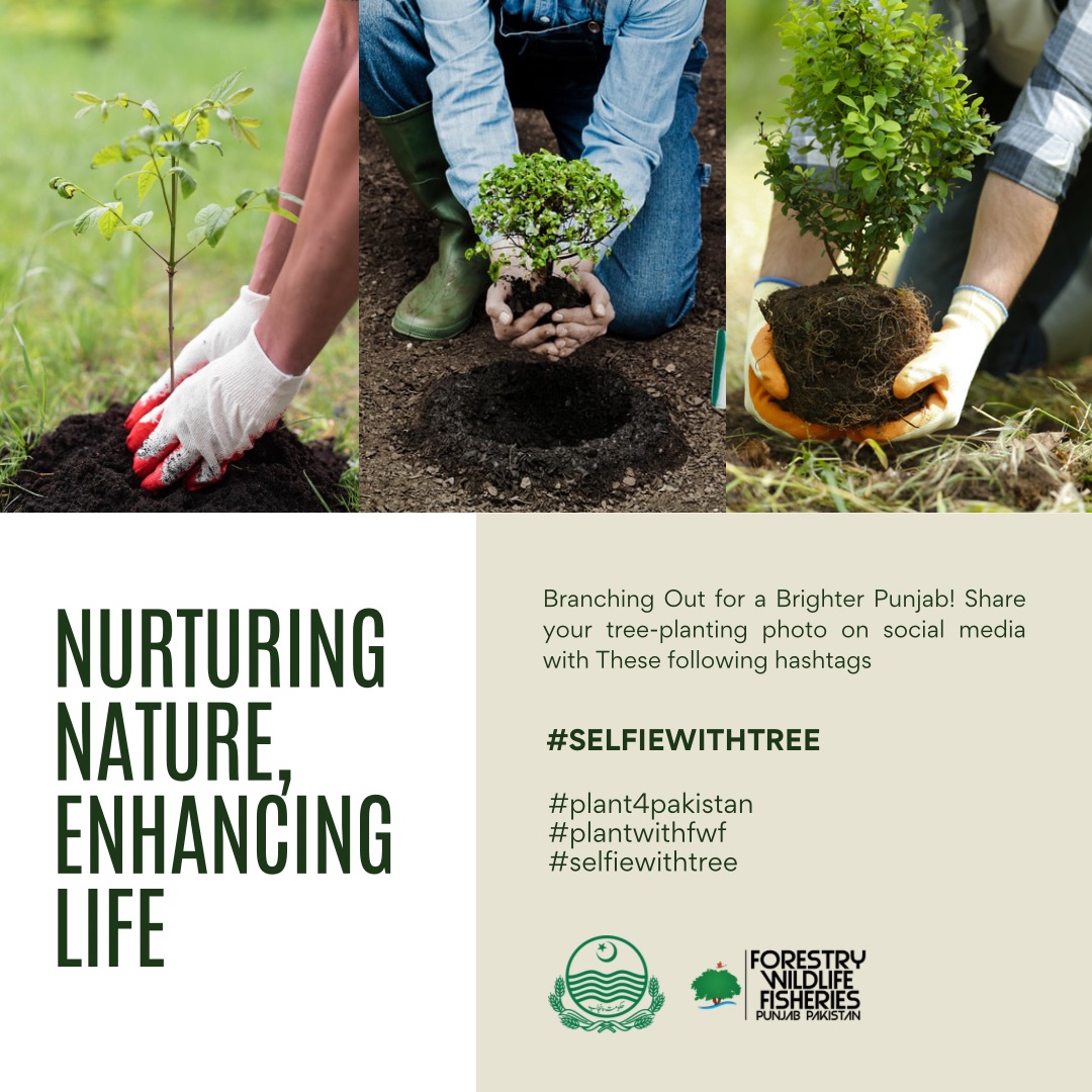 fwfpunjabpk's tweet photo. Nurture Nature, Enhance Life! 🌳Join us in making Punjab greener and healthier. Plant a tree and share your journey with us! 🌱

#plantforpakistan #plantwithfwf #selfiewithtree

@MaryamNSharif
@Marriyum_A
@GovtofPunjabPK
@fwfpunjabpk
 @DrMAbdullah786 https://t.co/3Wn20erbFW