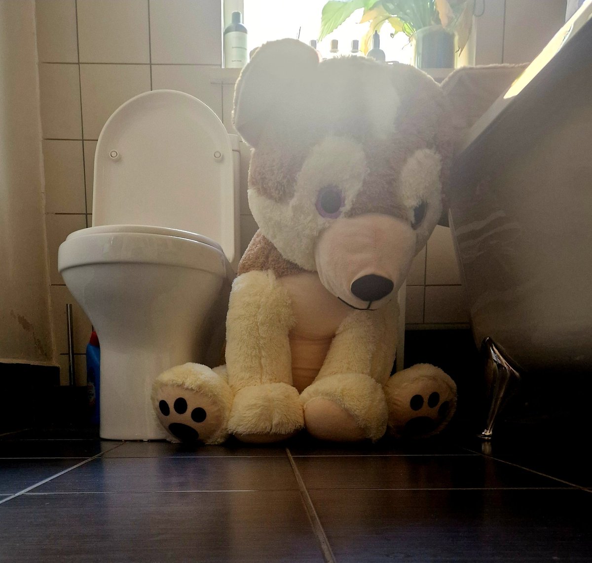 My son has a new 'Toilet Buddy'. Not sure how his new school will react if he turns up with him on the first day...